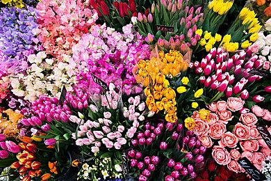 传索尼买下了Konami一个“非常流行的IP”